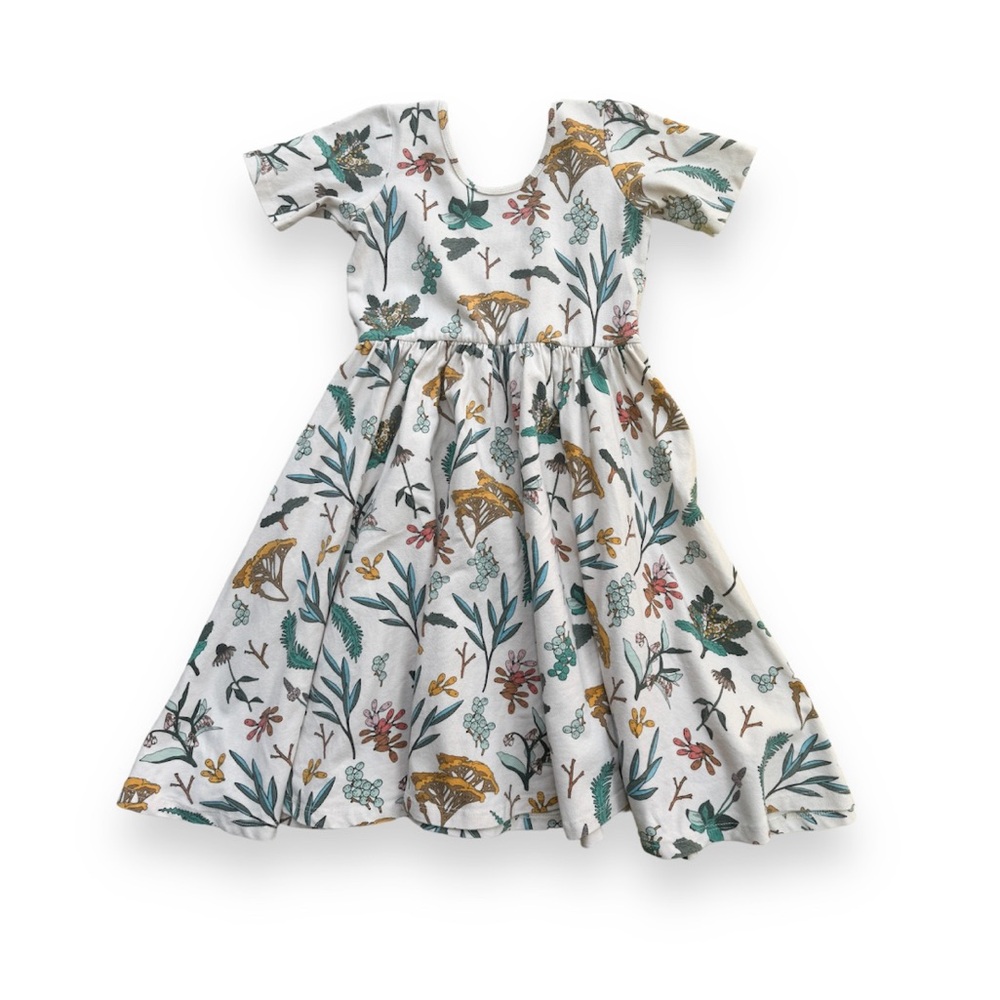 Alice + Ames Ballet Dress in Herbal Study